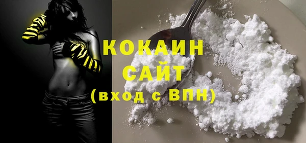 ПСИЛОЦИБИНОВЫЕ ГРИБЫ Магас