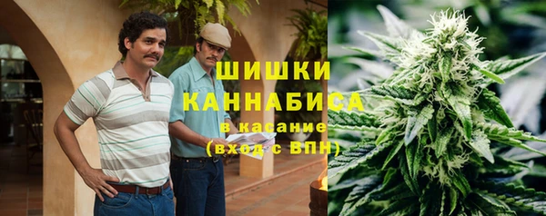 прущие грибы Алексеевка