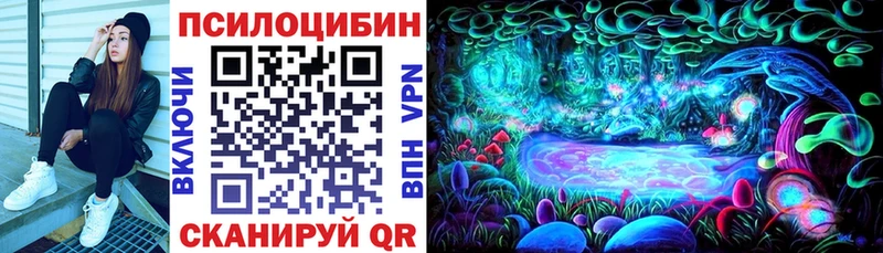 наркотики  Болгар  omg зеркало  shop официальный сайт  Галлюциногенные грибы Cubensis 